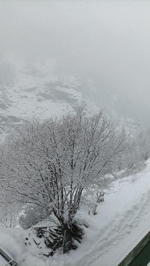 Les Hauts Du Roux Abries Exterior photo